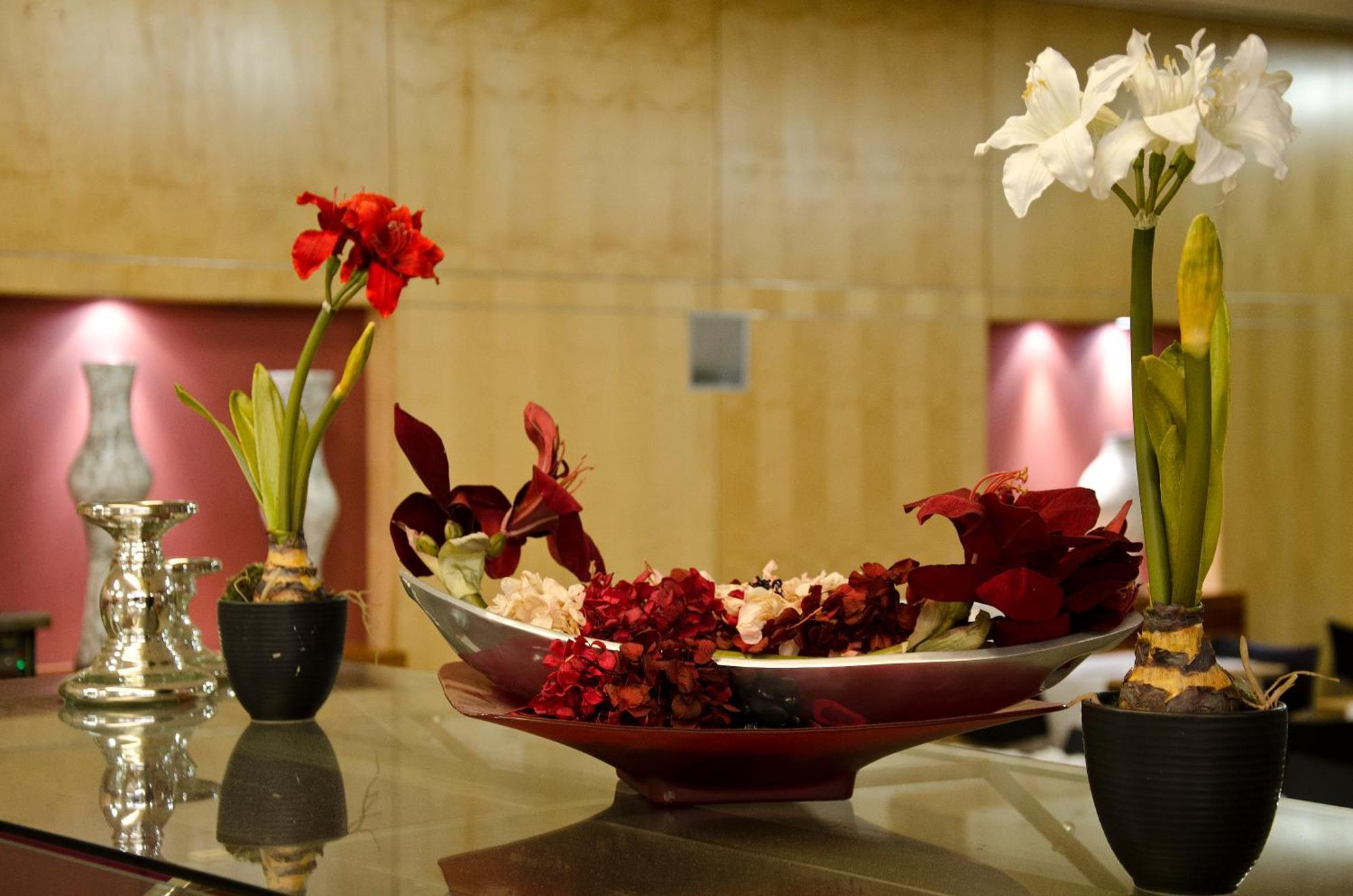 Vip Executive Entrecampos & Conference Hotel Lissabon